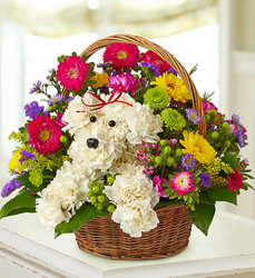 A-Dog-able in a basket! Davenport Florist - Same Day Flower Delivery - Flower Power 