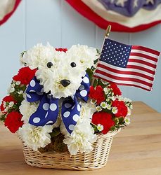 Yankee Doodle Doggie Davenport Florist - Same Day Flower Delivery - Flower Power 