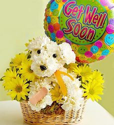 Sick as a Dog Davenport Florist - Same Day Flower Delivery - Flower Power 