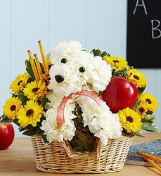 Teacher's Pet Davenport Florist - Same Day Flower Delivery - Flower Power 