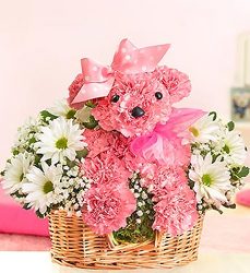 Princess Paws Davenport Florist - Same Day Flower Delivery - Flower Power 