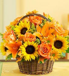 Basket of Fall Flower Power, Florist Davenport FL