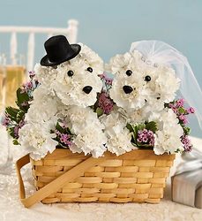 Love You Fur-Ever Davenport Florist - Same Day Flower Delivery - Flower Power 