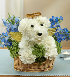 All Dogs go to Heaven Davenport Florist - Same Day Flower Delivery - Flower Power 