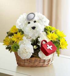 Doggie Howser M.D. Davenport Florist - Same Day Flower Delivery - Flower Power 