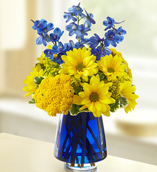 Blue to Cheer You Davenport Florist - Same Day Flower Delivery - Flower Power 