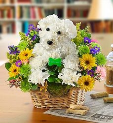 Man's Best Friend Davenport Florist - Same Day Flower Delivery - Flower Power 