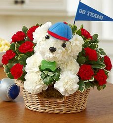 Sports Hound Davenport Florist - Same Day Flower Delivery - Flower Power 
