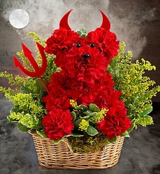 Devil Dog Davenport Florist - Same Day Flower Delivery - Flower Power 
