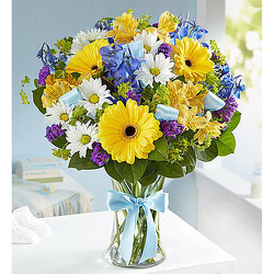Sweet Baby Boy Arrangement Davenport Florist - Same Day Flower Delivery - Flower Power 