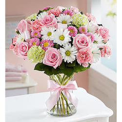 Sweet Baby Girl Arrangement Davenport Florist - Same Day Flower Delivery - Flower Power 