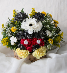 Mickey Mouse Davenport Florist - Same Day Flower Delivery - Flower Power 
