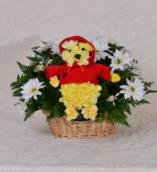 Winnie the Pooh Davenport Florist - Same Day Flower Delivery - Flower Power 