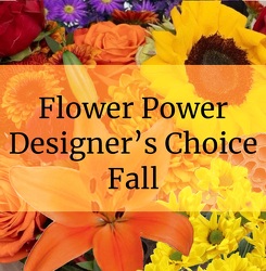 Designer's Choice- Fall Davenport Florist - Same Day Flower Delivery - Flower Power 