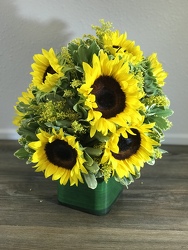 Sunflower Special 1 - Save $10 Flower Power, Florist Davenport FL