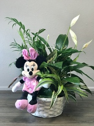 Minnie's Planter Flower Power, Florist Davenport FL
