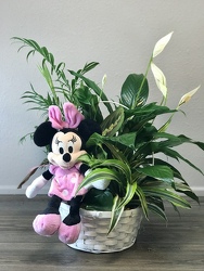Minnie's Planter Davenport Florist - Same Day Flower Delivery - Flower Power 