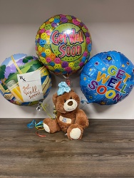 Toby the Get Well Bear Davenport Florist - Same Day Flower Delivery - Flower Power 