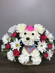 Dolly the Country Pup Davenport Florist - Same Day Flower Delivery - Flower Power 