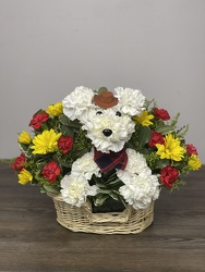 Kenny the Country Pup Davenport Florist - Same Day Flower Delivery - Flower Power 