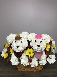 Kenny and Dolly the country pups Davenport Florist - Same Day Flower Delivery - Flower Power 