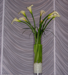 Tall Calla Flower Power, Florist Davenport FL