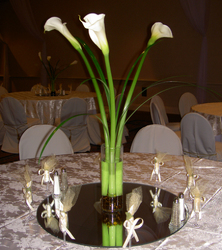 Calla Lily Davenport Florist - Same Day Flower Delivery - Flower Power 