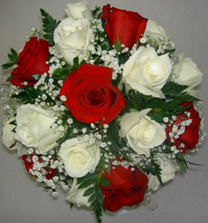 Red and White Roses Flower Power, Florist Davenport FL