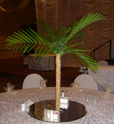 Palm Trees Davenport Florist - Same Day Flower Delivery - Flower Power 