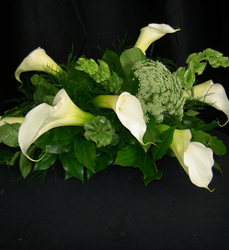 Long 'n' low Calla Davenport Florist - Same Day Flower Delivery - Flower Power 