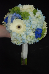True Blue Gerbera Daisy Flower Power, Florist Davenport FL