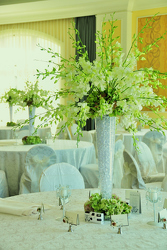 Orchid Fireworks Davenport Florist - Same Day Flower Delivery - Flower Power 
