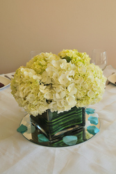 Mounds of Hydrangea Davenport Florist - Same Day Flower Delivery - Flower Power 