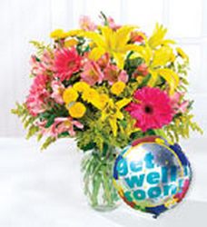 Fields of Europe for Get Well Davenport Florist - Same Day Flower Delivery - Flower Power 
