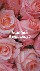 Dozen Rose Sale  Davenport Florist - Same Day Flower Delivery - Flower Power 