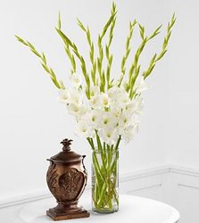 At Peace Bouquet Davenport Florist - Same Day Flower Delivery - Flower Power 