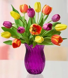 Radiant Tulips Davenport Florist - Same Day Flower Delivery - Flower Power 