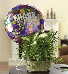 Gratitude Garden Basket Davenport Florist - Same Day Flower Delivery - Flower Power 