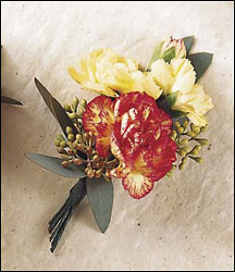 Mini Carnations Boutonniere Flower Power, Florist Davenport FL