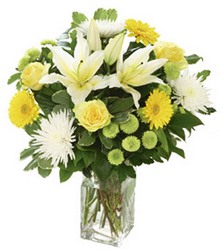 Yellow Jug  Davenport Florist - Same Day Flower Delivery - Flower Power 