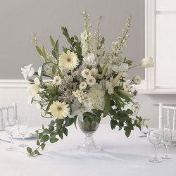 White Splendor Davenport Florist - Same Day Flower Delivery - Flower Power 