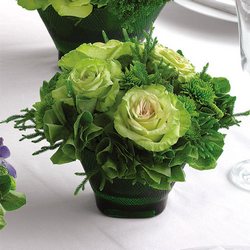 Celebrating Green Davenport Florist - Same Day Flower Delivery - Flower Power 