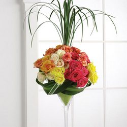 Rainbow Martini Davenport Florist - Same Day Flower Delivery - Flower Power 
