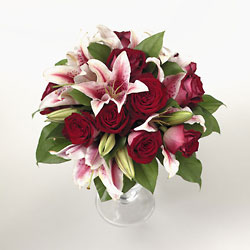 Stargazer and Roses Davenport Florist - Same Day Flower Delivery - Flower Power 