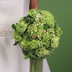 Lime Green Dream Davenport Florist - Same Day Flower Delivery - Flower Power 
