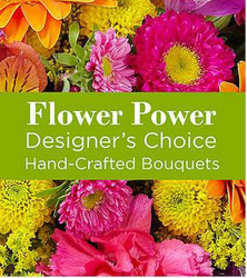 Designers Choice - Multi Coloured Davenport Florist - Same Day Flower Delivery - Flower Power 