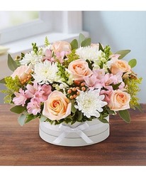 Pastel Hatbox Flower Power, Florist Davenport FL