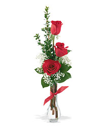 3 Roses Davenport Florist - Same Day Flower Delivery - Flower Power 