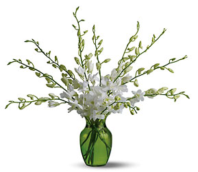 Serenity Orchids Davenport Florist - Same Day Flower Delivery - Flower Power 