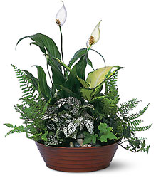 White Garden Davenport Florist - Same Day Flower Delivery - Flower Power 